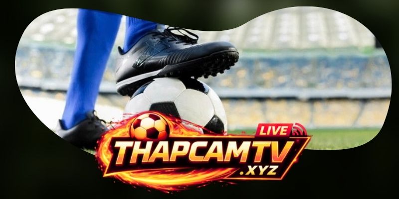 Kèo Under Hiệp 1 Là Gì? Cách Tính Chuẩn Và Phân Tích Tỷ Lệ