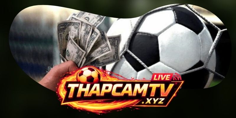 Thapcamtv tự tin thầu phát sóng toàn bộ giải đấu từ trong đến ngoài nước