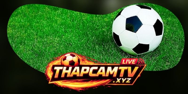 Hệ sinh thái nội dung và dịch vụ của Thapcamtv